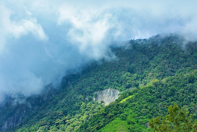 Lush landscapes of Island Serene